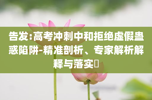 2025年6月 第13頁