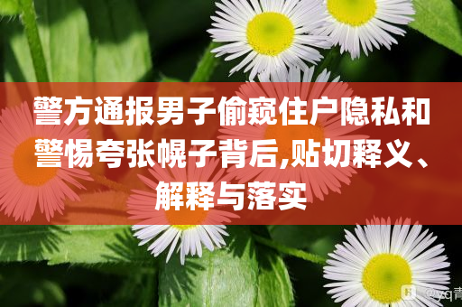 警方通報(bào)男子偷窺住戶隱私和警惕夸張幌子背后,貼切釋義、解釋與落實(shí)