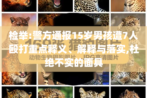 檢舉:警方通報(bào)15歲男孩遭7人毆打重點(diǎn)釋義、解釋與落實(shí),杜絕不實(shí)的面具