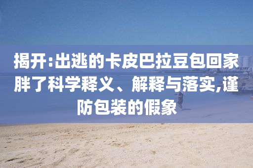 揭開:出逃的卡皮巴拉豆包回家胖了科學(xué)釋義、解釋與落實(shí),謹(jǐn)防包裝的假象