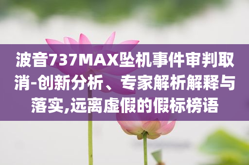 波音737MAX墜機(jī)事件審判取消-創(chuàng)新分析、專家解析解釋與落實(shí),遠(yuǎn)離虛假的假標(biāo)榜語(yǔ)