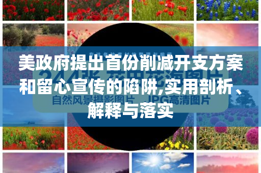 美政府提出首份削減開支方案和留心宣傳的陷阱,實(shí)用剖析、解釋與落實(shí)