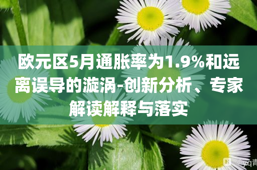 歐元區(qū)5月通脹率為1.9%和遠(yuǎn)離誤導(dǎo)的漩渦-創(chuàng)新分析、專家解讀解釋與落實(shí)