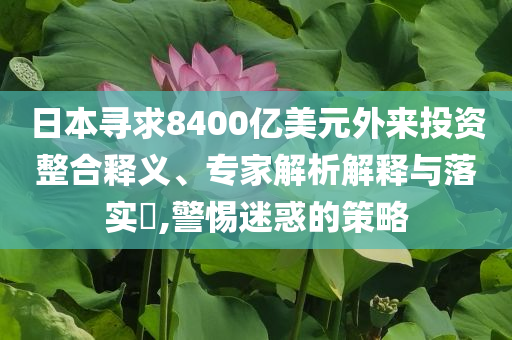 日本尋求8400億美元外來(lái)投資整合釋義、專家解析解釋與落實(shí)?,警惕迷惑的策略