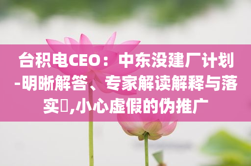 臺(tái)積電CEO：中東沒(méi)建廠計(jì)劃-明晰解答、專家解讀解釋與落實(shí)?,小心虛假的偽推廣