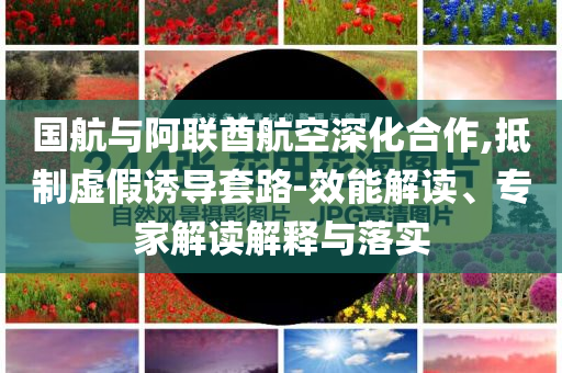 國(guó)航與阿聯(lián)酋航空深化合作,抵制虛假誘導(dǎo)套路-效能解讀、專家解讀解釋與落實(shí)