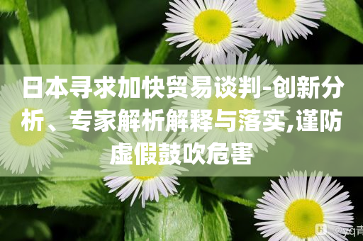 日本尋求加快貿(mào)易談判-創(chuàng)新分析、專家解析解釋與落實,謹防虛假鼓吹危害