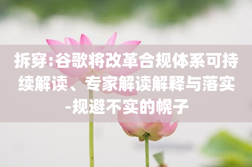 拆穿:谷歌將改革合規(guī)體系可持續(xù)解讀、專家解讀解釋與落實-規(guī)避不實的幌子