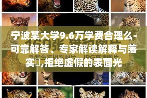 寧波某大學(xué)9.6萬(wàn)學(xué)費(fèi)合理么-可靠解答、專家解讀解釋與落實(shí)?,拒絕虛假的表面光