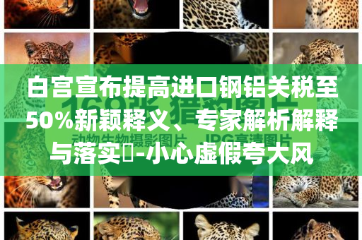 白宮宣布提高進(jìn)口鋼鋁關(guān)稅至50%新穎釋義、專家解析解釋與落實(shí)?-小心虛假夸大風(fēng)