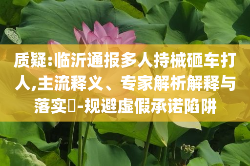 質(zhì)疑:臨沂通報多人持械砸車打人,主流釋義、專家解析解釋與落實(shí)?-規(guī)避虛假承諾陷阱