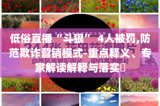 低俗直播“斗狠” 4人被罰,防范欺詐營銷模式-重點釋義、專家解讀解釋與落實?