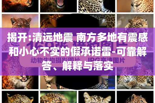 揭開:清遠(yuǎn)地震 南方多地有震感和小心不實(shí)的假承諾雷-可靠解答、解釋與落實(shí)