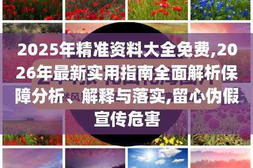 2025年精準資料大全免費,2026年最新實用指南全面解析保障分析、解釋與落實,留心偽假宣傳危害