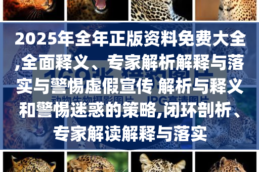 2025年全年正版資料免費(fèi)大全,全面釋義、專家解析解釋與落實(shí)與警惕虛假宣傳 解析與釋義和警惕迷惑的策略,閉環(huán)剖析、專家解讀解釋與落實(shí)
