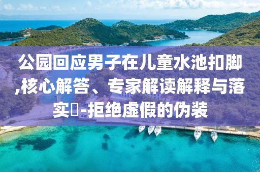 公園回應(yīng)男子在兒童水池扣腳,核心解答、專家解讀解釋與落實(shí)?-拒絕虛假的偽裝