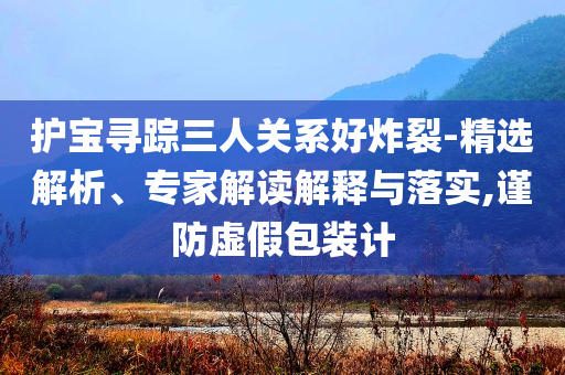 護寶尋蹤三人關(guān)系好炸裂-精選解析、專家解讀解釋與落實,謹(jǐn)防虛假包裝計