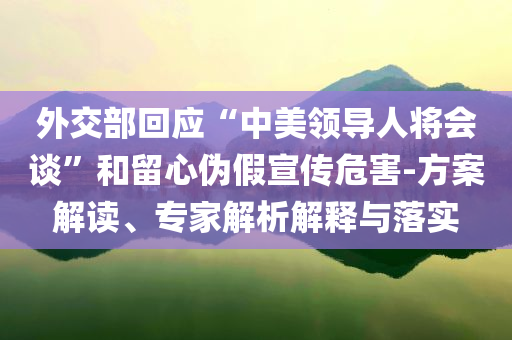 外交部回應(yīng)“中美領(lǐng)導(dǎo)人將會談”和留心偽假宣傳危害-方案解讀、專家解析解釋與落實