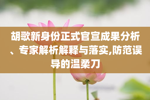 胡歌新身份正式官宣成果分析、專家解析解釋與落實(shí),防范誤導(dǎo)的溫柔刀