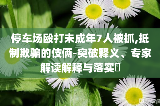 停車場毆打未成年7人被抓,抵制欺騙的伎倆-突破釋義、專家解讀解釋與落實(shí)?