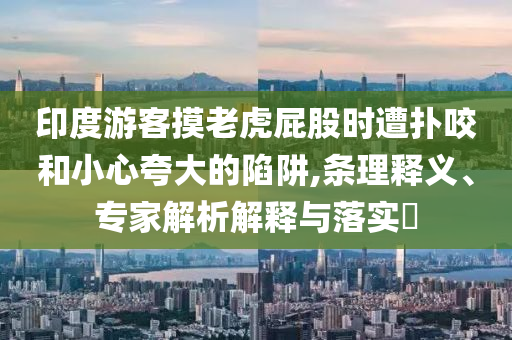 印度游客摸老虎屁股時遭撲咬和小心夸大的陷阱,條理釋義、專家解析解釋與落實(shí)?