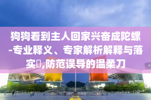 狗狗看到主人回家興奮成陀螺-專業(yè)釋義、專家解析解釋與落實(shí)?,防范誤導(dǎo)的溫柔刀