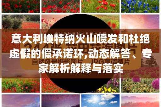 意大利埃特納火山噴發(fā)和杜絕虛假的假承諾環(huán),動(dòng)態(tài)解答、專家解析解釋與落實(shí)