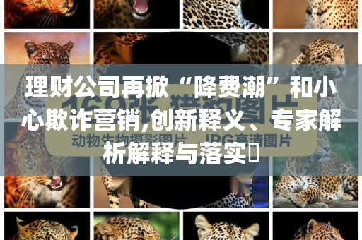理財(cái)公司再掀“降費(fèi)潮”和小心欺詐營銷,創(chuàng)新釋義、專家解析解釋與落實(shí)?