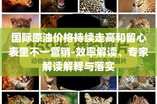 國際原油價(jià)格持續(xù)走高和留心表里不一營銷-效率解讀、專家解讀解釋與落實(shí)