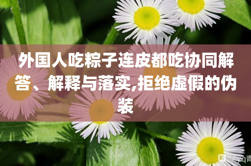 外國(guó)人吃粽子連皮都吃協(xié)同解答、解釋與落實(shí),拒絕虛假的偽裝