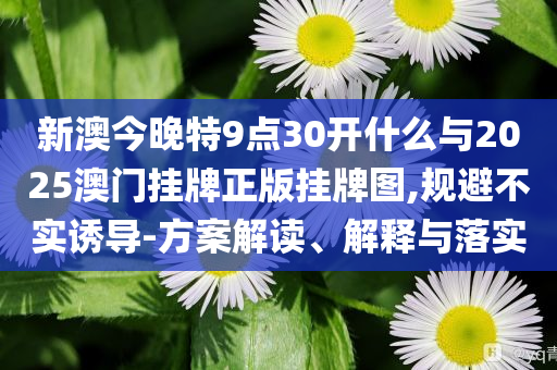 新澳今晚特9點(diǎn)30開(kāi)什么與2025澳門(mén)掛牌正版掛牌圖,規(guī)避不實(shí)誘導(dǎo)-方案解讀、解釋與落實(shí)