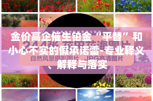 金價高企催生鉑金“平替”和小心不實的假承諾雷-專業(yè)釋義、解釋與落實
