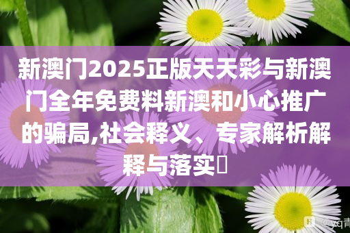 新澳門2025正版天天彩與新澳門全年免費(fèi)料新澳和小心推廣的騙局,社會(huì)釋義、專家解析解釋與落實(shí)?