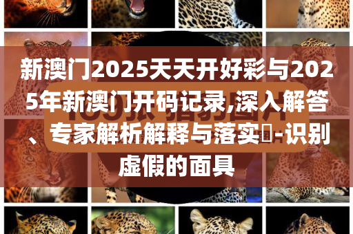 新澳門2025天天開好彩與2025年新澳門開碼記錄,深入解答、專家解析解釋與落實(shí)?-識(shí)別虛假的面具