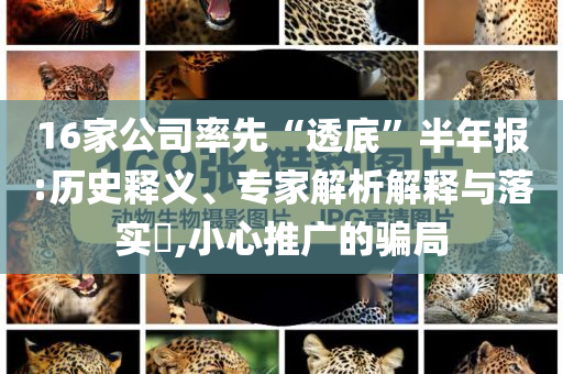 16家公司率先“透底”半年報:歷史釋義、專家解析解釋與落實(shí)?,小心推廣的騙局