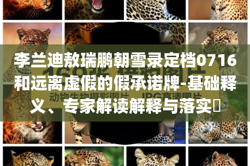 李蘭迪敖瑞鵬朝雪錄定檔0716和遠離虛假的假承諾牌-基礎(chǔ)釋義、專家解讀解釋與落實?