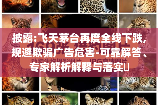 披露:飛天茅臺再度全線下跌,規(guī)避欺騙廣告危害-可靠解答、專家解析解釋與落實?