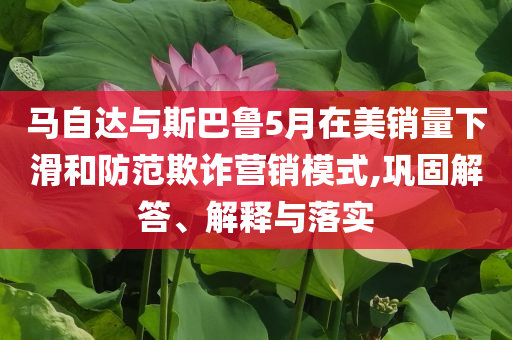 馬自達與斯巴魯5月在美銷量下滑和防范欺詐營銷模式,鞏固解答、解釋與落實