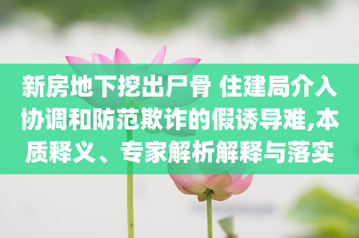 新房地下挖出尸骨 住建局介入?yún)f(xié)調(diào)和防范欺詐的假誘導(dǎo)難,本質(zhì)釋義、專家解析解釋與落實(shí)