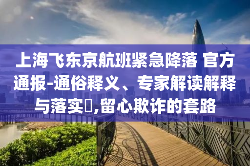 上海飛東京航班緊急降落 官方通報-通俗釋義、專家解讀解釋與落實?,留心欺詐的套路