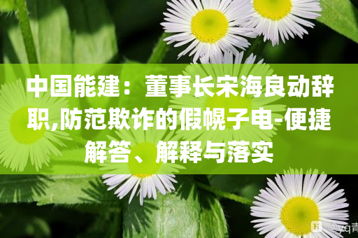 中國(guó)能建：董事長(zhǎng)宋海良動(dòng)辭職,防范欺詐的假幌子電-便捷解答、解釋與落實(shí)