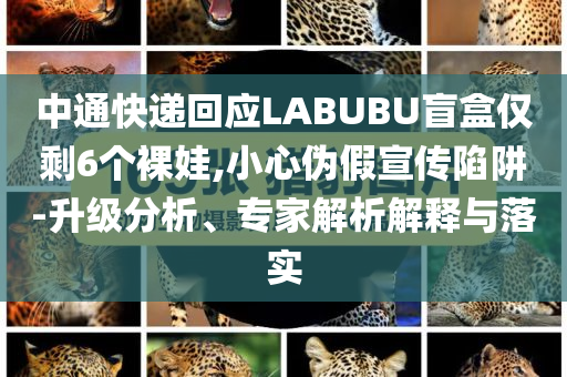 中通快遞回應(yīng)LABUBU盲盒僅剩6個(gè)裸娃,小心偽假宣傳陷阱-升級(jí)分析、專家解析解釋與落實(shí)