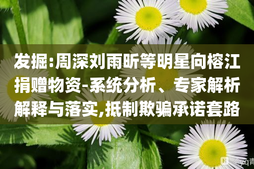 發(fā)掘:周深劉雨昕等明星向榕江捐贈物資-系統(tǒng)分析、專家解析解釋與落實,抵制欺騙承諾套路