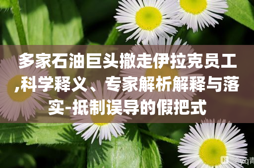 多家石油巨頭撤走伊拉克員工,科學(xué)釋義、專家解析解釋與落實-抵制誤導(dǎo)的假把式