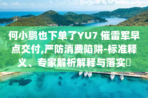 何小鵬也下單了YU7 催雷軍早點交付,嚴防消費陷阱-標準釋義、專家解析解釋與落實?