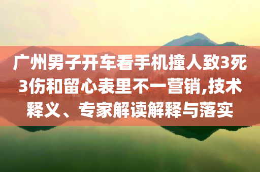 廣州男子開車看手機撞人致3死3傷和留心表里不一營銷,技術(shù)釋義、專家解讀解釋與落實