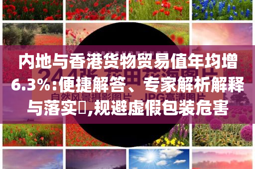 內(nèi)地與香港貨物貿(mào)易值年均增6.3%:便捷解答、專家解析解釋與落實(shí)?,規(guī)避虛假包裝危害