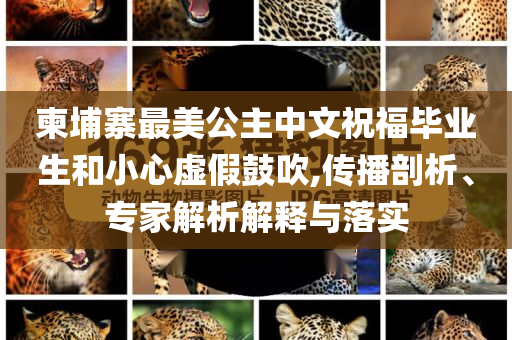 柬埔寨最美公主中文祝福畢業(yè)生和小心虛假鼓吹,傳播剖析、專家解析解釋與落實(shí)