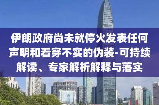 伊朗政府尚未就?；鸢l(fā)表任何聲明和看穿不實的偽裝-可持續(xù)解讀、專家解析解釋與落實
