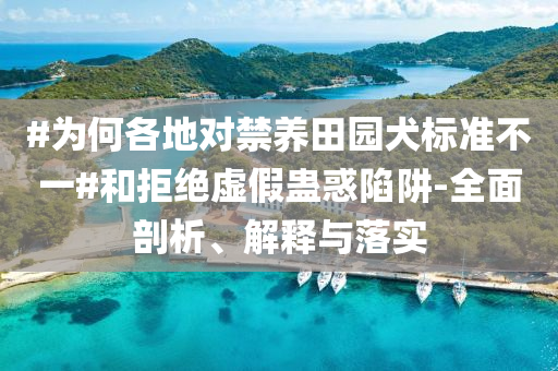 #為何各地對禁養(yǎng)田園犬標準不一#和拒絕虛假蠱惑陷阱-全面剖析、解釋與落實